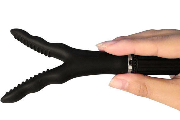 yPUTO~ʌzobNt@CA[@il`cmdrr@ujllP_聄